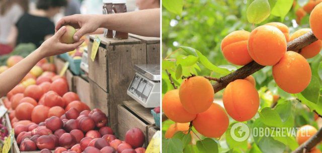В Украине цены на фрукты бьют рекорды: озвучен прогноз, что будет дальше