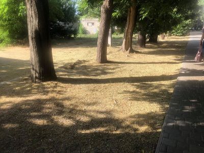 Коли підрядник працює - то це відразу видно