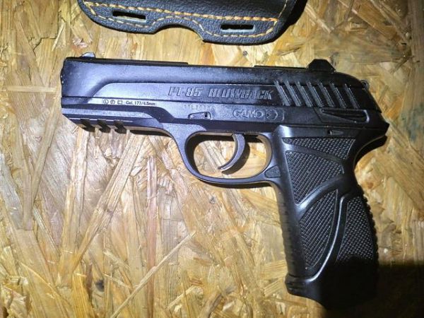 В Херсоне во время оформления судна служебная собака помогла пограничникам обнаружить пистолет