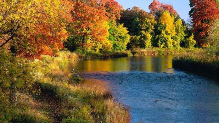 Украина без бабьего лета: ученые рассказали, как меняются времена года