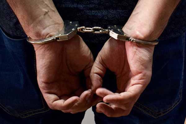 Серийного вора разыскали под диваном на Херсонщине