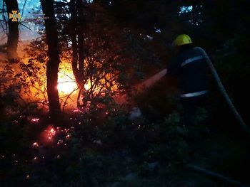 Оперативно ліквідована пожежа на території Новокаховського лісництва