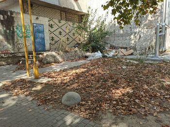 Чи готуються у Херсоні до Дня міста?