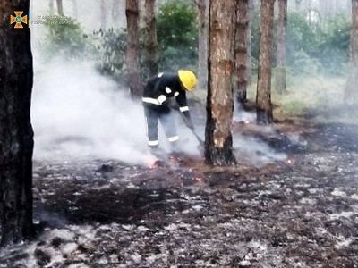 Олешківський ліс двічі горів за останню добу