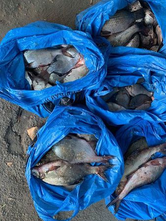 За добу браконьєри на Херсонщині завдали збитків майже на 11 тис. грн.