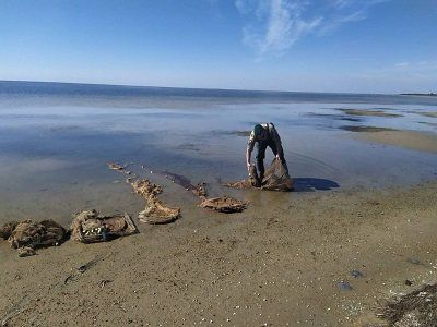 У  Джарилгацькому заливі виявили браконьєрські пастки