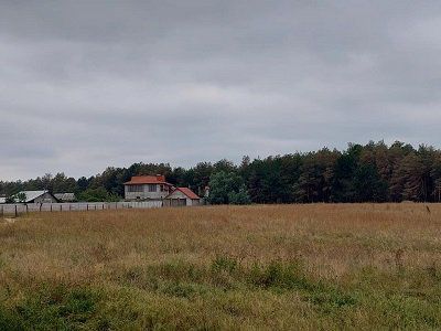 Олешківський ліс треба рятувати - місцеві звернулися на Урядову гарячу лінію