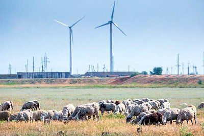 Присиваська громада як приклад доброчесності