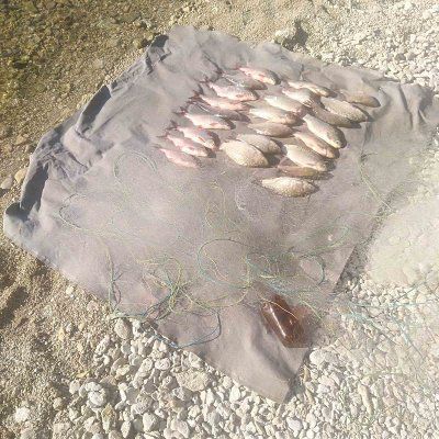 Херсонський рибоохоронний патруль просить повідомляти про браконьєрів