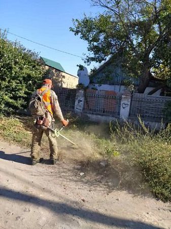 Квартальні комітети стверджують, що продовжують боротьбу  з карантинними бур’янами