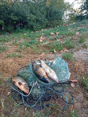 Херсонський рибоохоронний патруль просить повідомляти про браконьєрів