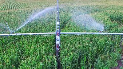 У Генічеському районі викрадають запчастини з «Фрегатів»