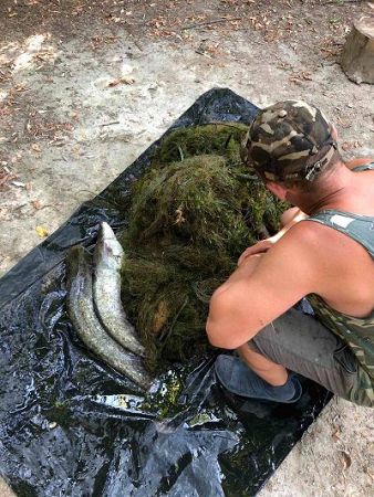 Сума збитків, завданих риболовами-браконьєрами, за місяць склала майже 100 тисяч гривень