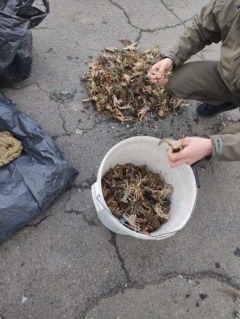 Протягом доби браконьєри нанесли збитків на суму майже 2 млн. грн.