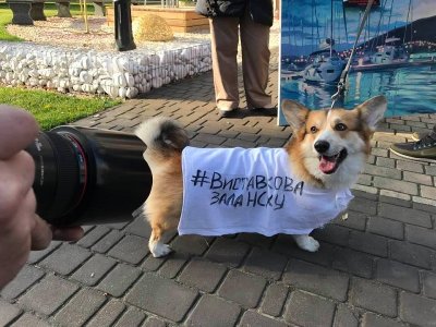 Перед міською радою Херсона зібралися художники на протест