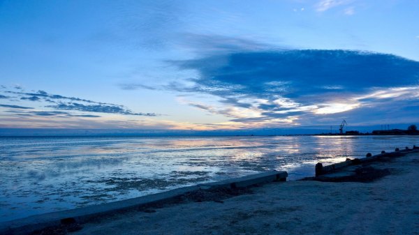 Нa Xepcoнщинe бpoдягa бpocилcя в мope