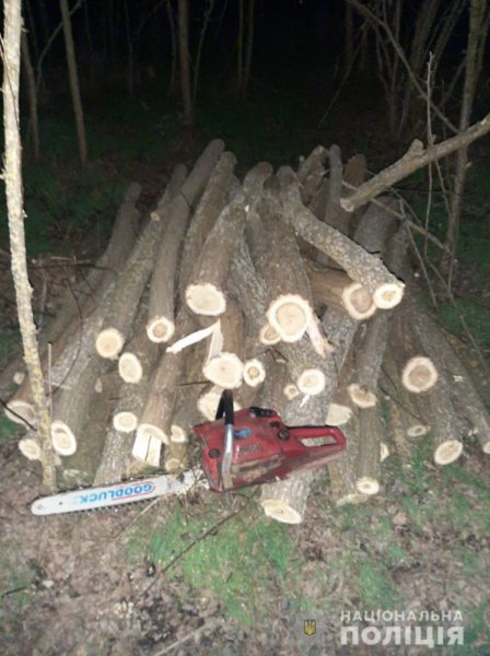 На Херсонщині затримали "чорного" лісоруба