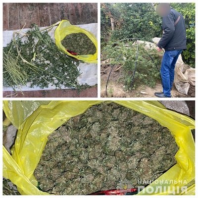 Поліцейські вилучили понад кілограм наркотиків у жителя Лазурненської територіальної громади