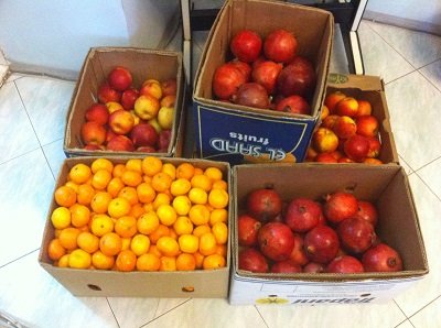 Фонд громади міста Херсон «Захист» збирає фруктові пакунки для онкохворих дітей