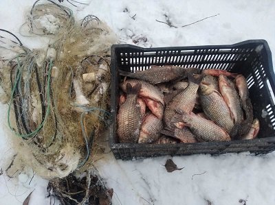 Браконьєри на Херсонщині нанесли збитків на 78 тис. грн.