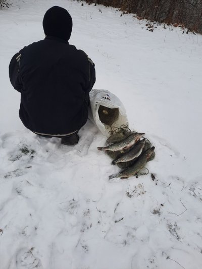 Браконьєри на Херсонщині нанесли збитків на 78 тис. грн.