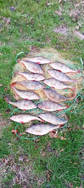 Браконьєри на Херсонщині «порибалили» на 180 тисяч гривень