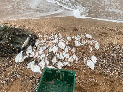 Прикордонники виявили браконьєра з уловом на 122 тисячі гривень біля Стрілкового