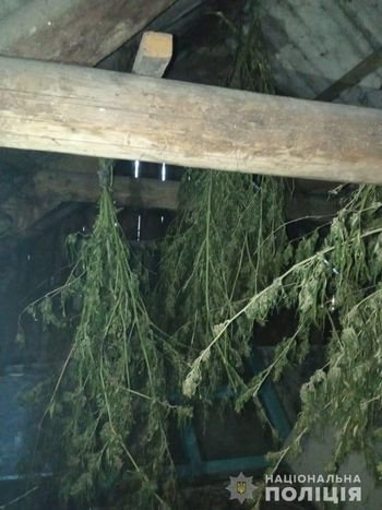 Високопільські поліцейські вилучили у місцевого жителя майже 4 кг наркотиків