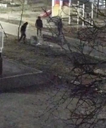 Троє неповнолітніх пошкодили майно громади у скейт-парку Каховки