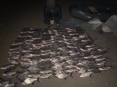 Протягом доби браконьєри нанесли збитків рибним ресурсам Херсонщини на 1 млн. грн.