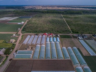 Великокопанівська громада допомагає овочами