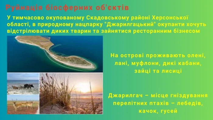 Слайд презентації Слайд презентації