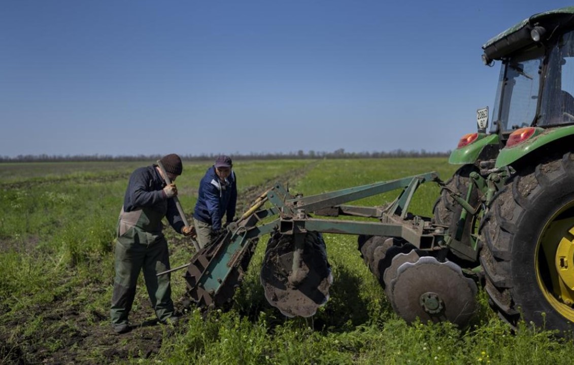 «Не сіяти – це смерть». Репортаж із Херсонщини, де фермери власноруч розміновують поля