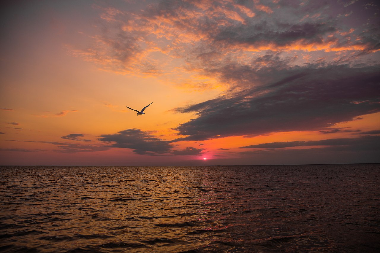 Море в оккупации. Какие курорты Украины захватила Россия во время войны