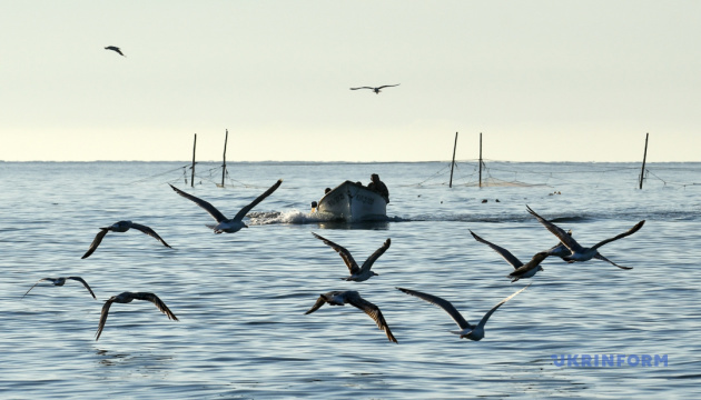 У водоймах півдня України заборонили вилов риби та морепродуктів