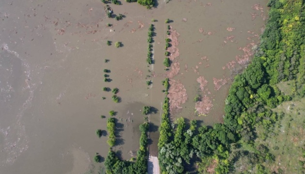 У МОЗ спростували епідемію холери на підтопленій Херсонщині