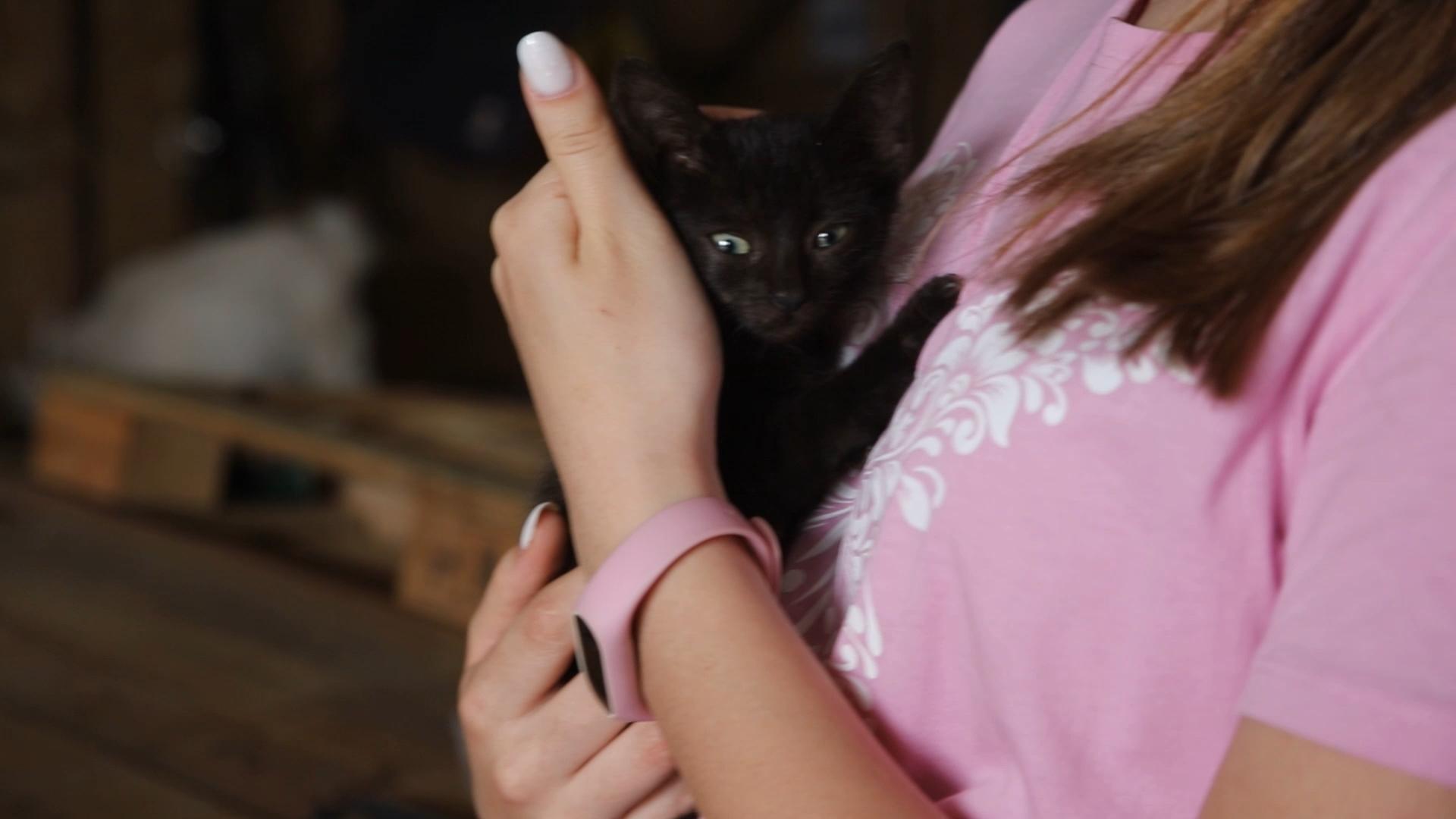 Кошеня
