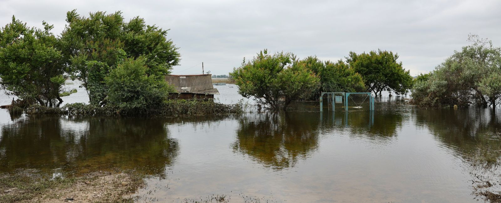 На правобережжі Херсонщини жодного худобомогильника не затопило – обласна Держпродспоживслужба