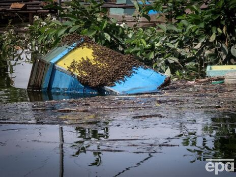 Окупаційна "влада" Херсонської області заявила про 41 загиблого через підрив росіянами Каховської ГЕС
