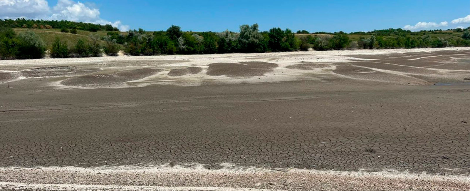 Замість нацпарків “Великий Луг” та “Кам'янська Січ” – пустеля