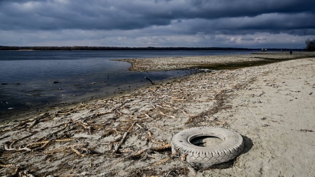 Фото: Getty Images