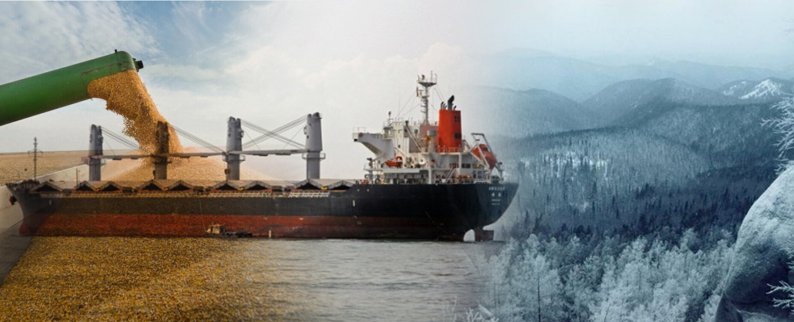 Крадіжка українського врожаю: російські пропагандисти звітують про “урожай на Херсонщині”