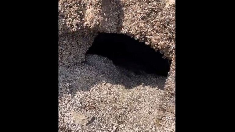 На дні Каховського водосховища знайшли печери монастиря