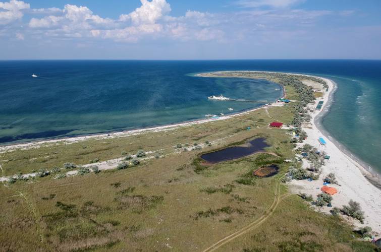 На острові Джарилгач сталася величезна пожежа