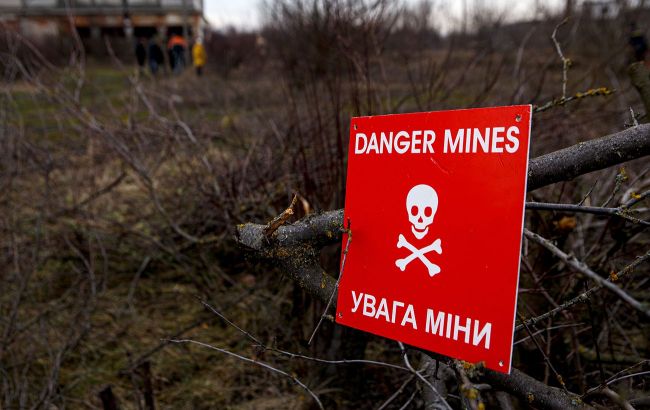 На Херсонщині розмінували 65,6 тис. га території