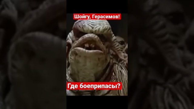 Шойгу, где боеприпасы? Где еда? Где лекарства? Где экипировка?! Российские военные в Херсонской области покупают экипировку, еду и лекарства