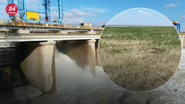 Дно Каховського водосховища активно заростає травою: у мережі з'явилося відео