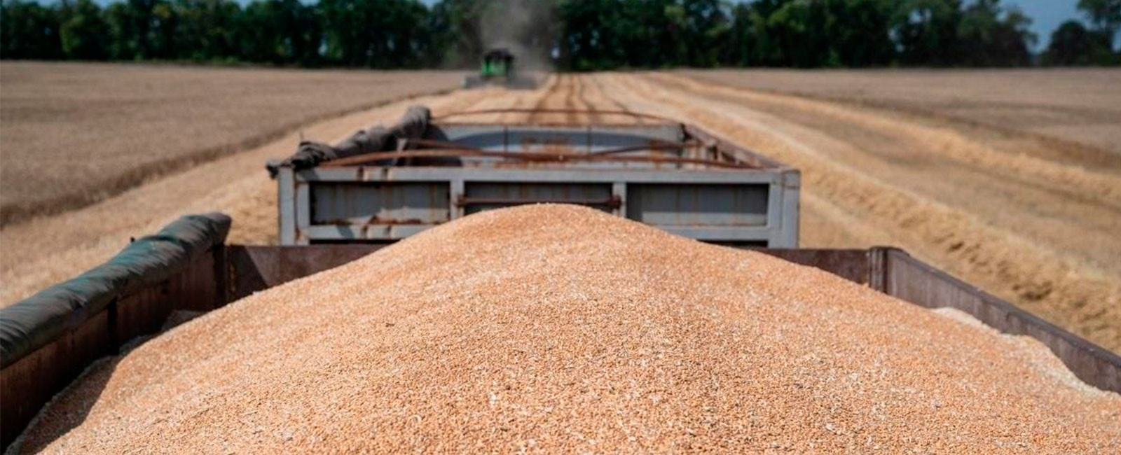 За підсумками двох сільськогосподарських сезонів, прямі збитки Херсонщини, завдані росіянами, становитимуть мільярди доларів