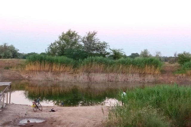 Русло Північнокримського канала на Херсонщині вже заростає бур'яном