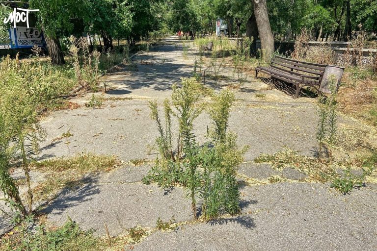 Який вигляд має Шевченківський парк у Херсоні